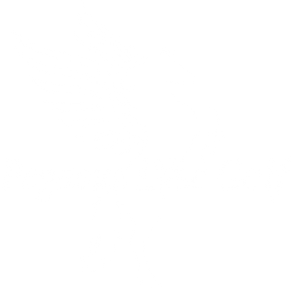 PEGASUS DISC GOLF